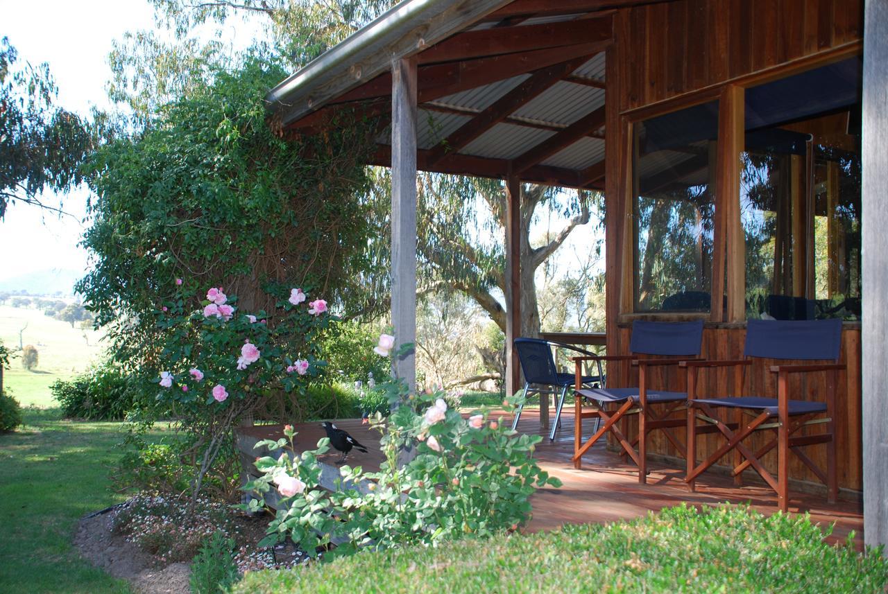 Bluegum Ridge Cottages Merrijig Exteriör bild