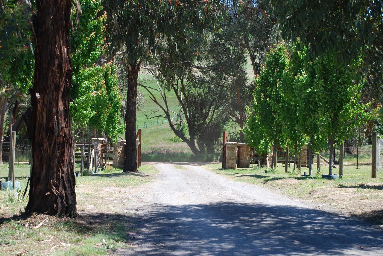 Bluegum Ridge Cottages Merrijig Exteriör bild