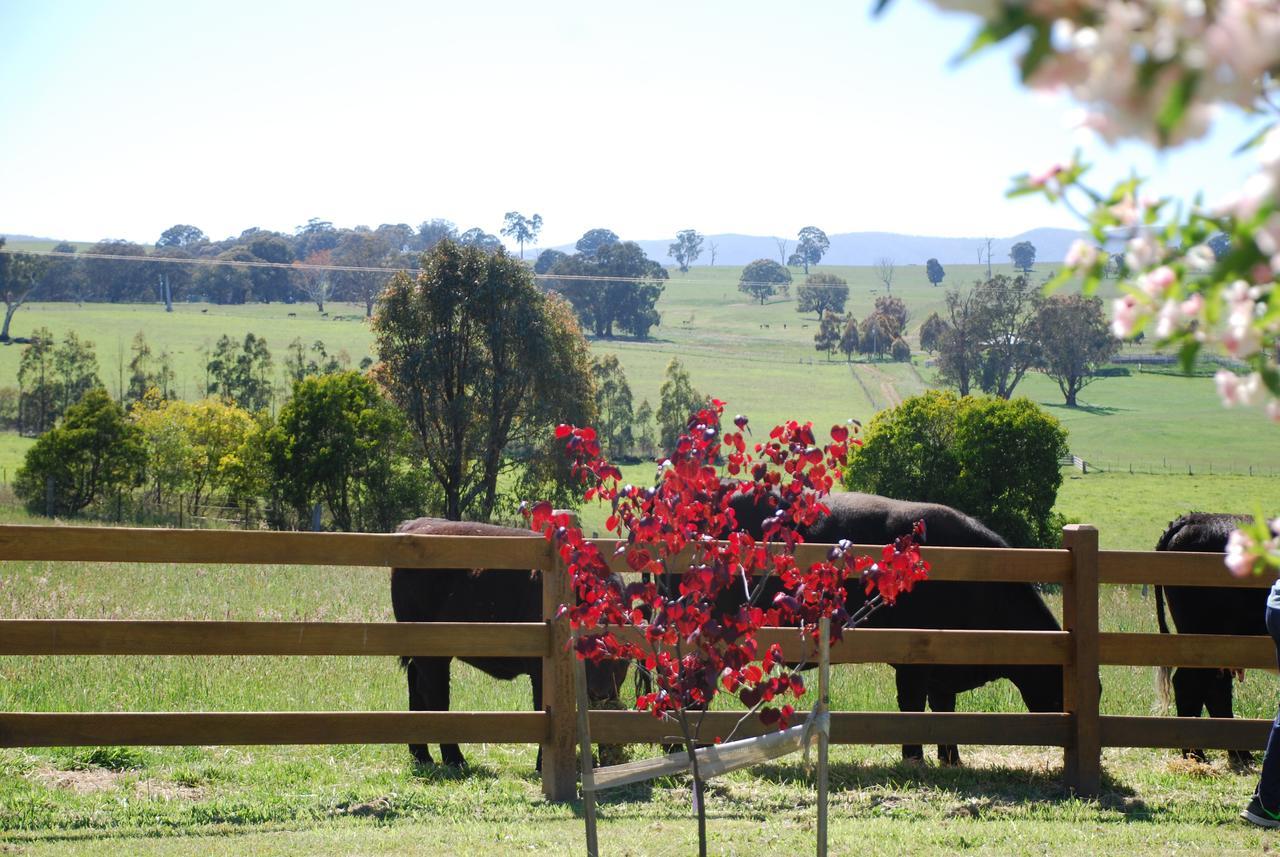 Bluegum Ridge Cottages Merrijig Exteriör bild