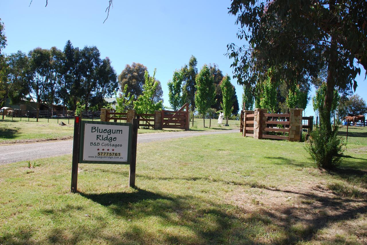 Bluegum Ridge Cottages Merrijig Exteriör bild