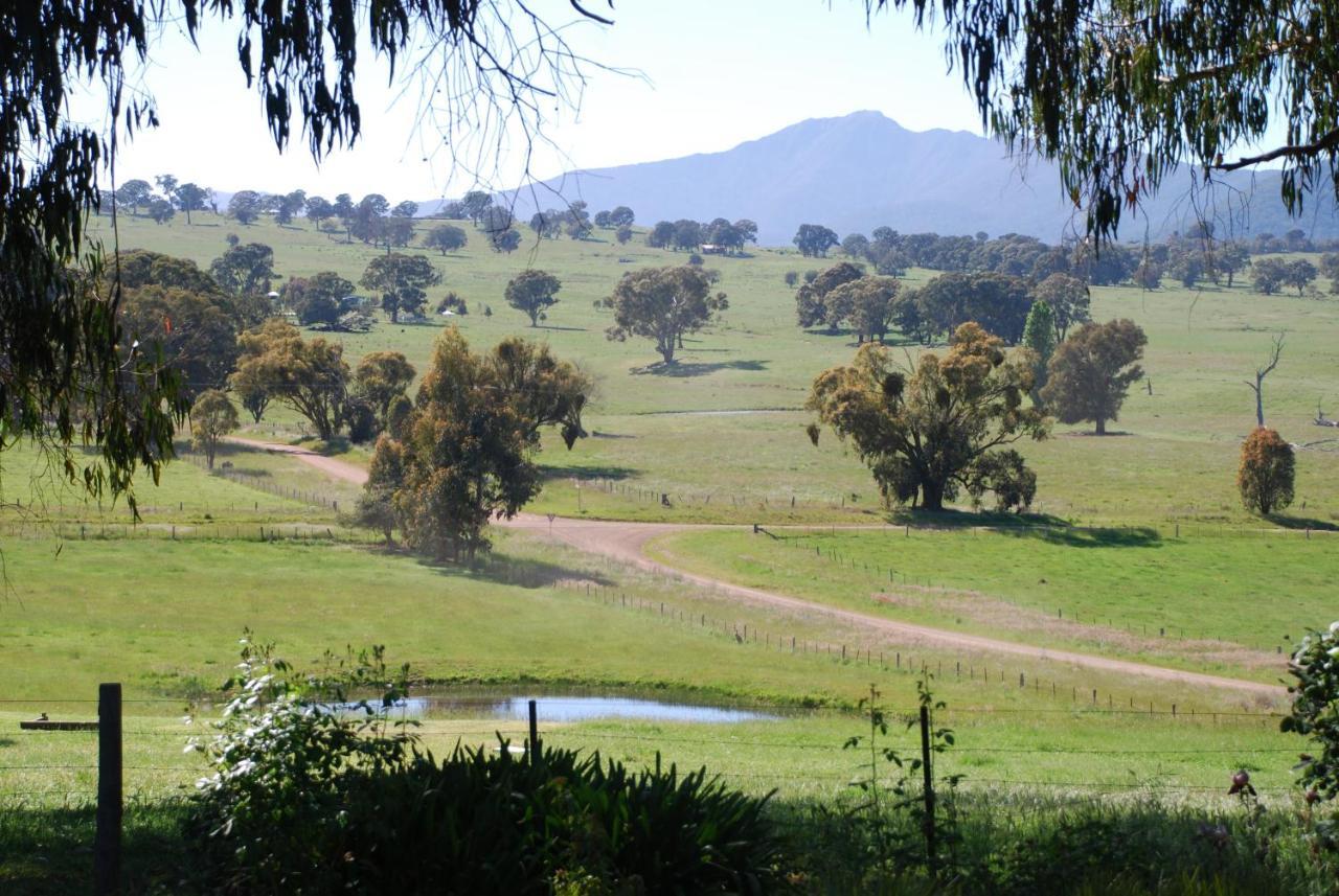 Bluegum Ridge Cottages Merrijig Rum bild