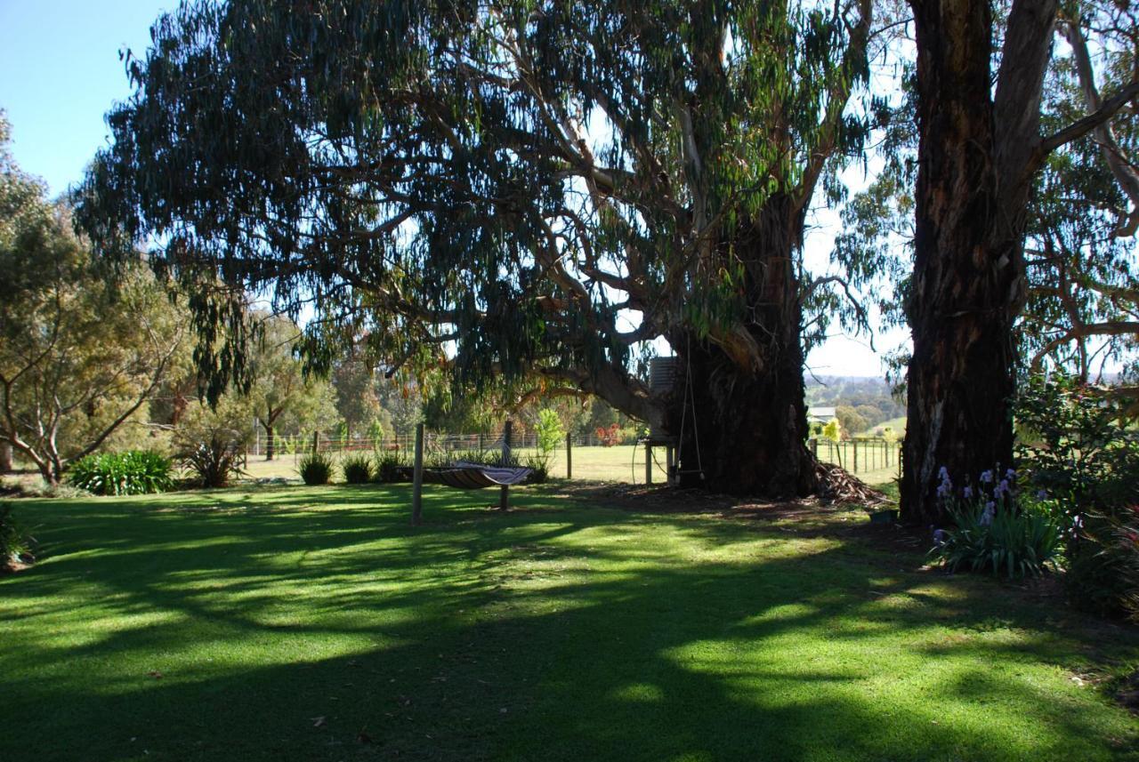 Bluegum Ridge Cottages Merrijig Rum bild