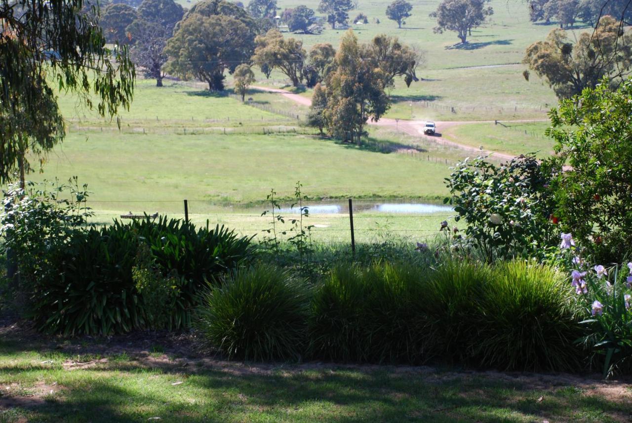 Bluegum Ridge Cottages Merrijig Rum bild